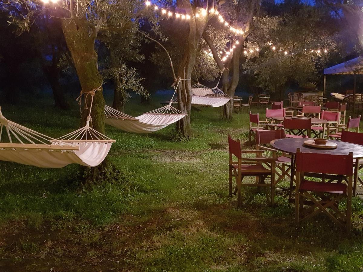 Maison d'hôtes Antico Uliveto à Seravezza Extérieur photo