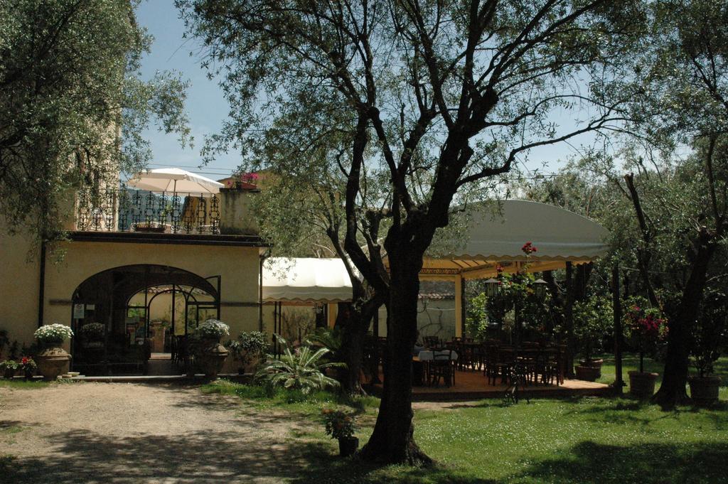 Maison d'hôtes Antico Uliveto à Seravezza Extérieur photo