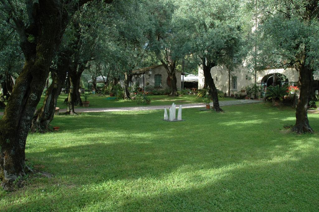 Maison d'hôtes Antico Uliveto à Seravezza Extérieur photo
