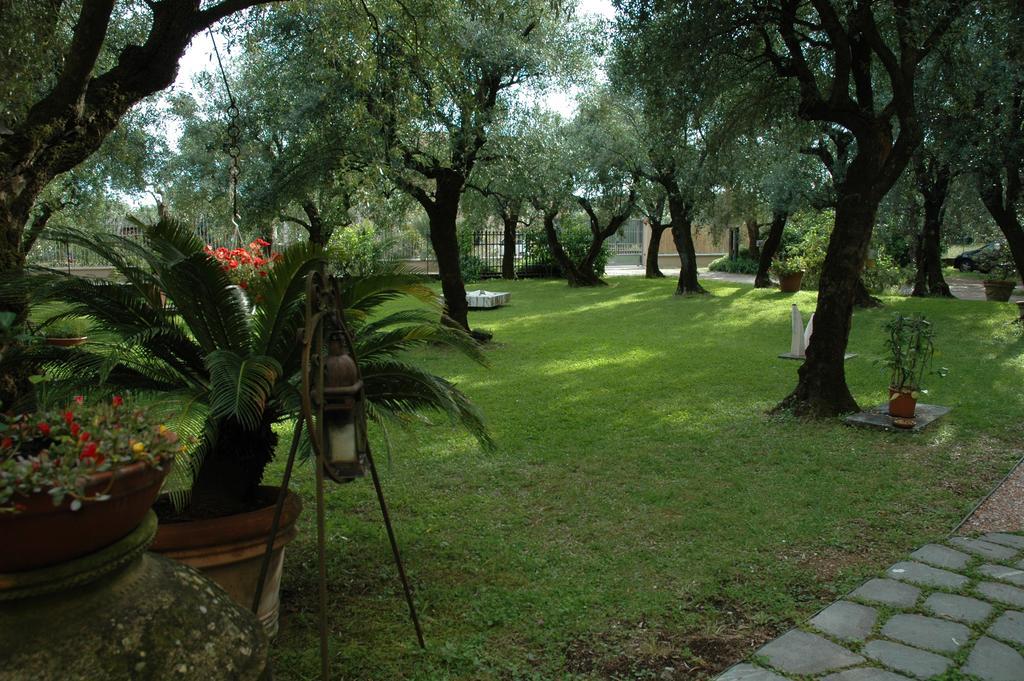 Maison d'hôtes Antico Uliveto à Seravezza Extérieur photo