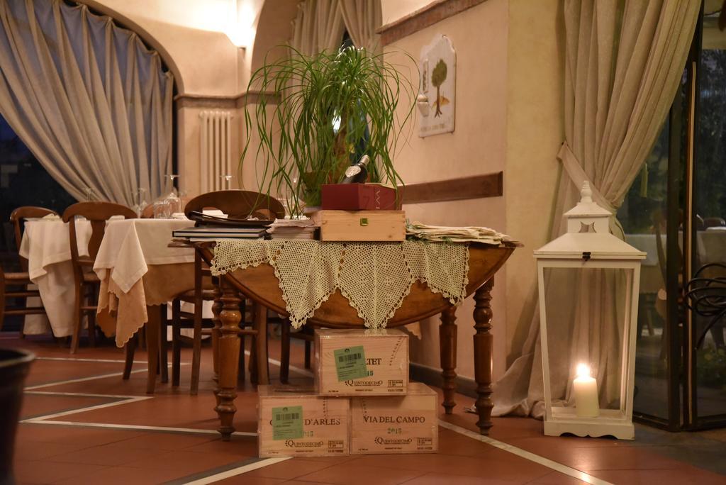 Maison d'hôtes Antico Uliveto à Seravezza Extérieur photo