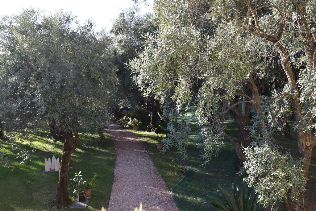 Maison d'hôtes Antico Uliveto à Seravezza Extérieur photo