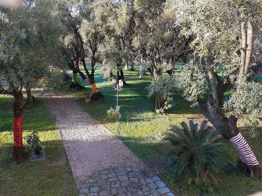 Maison d'hôtes Antico Uliveto à Seravezza Extérieur photo