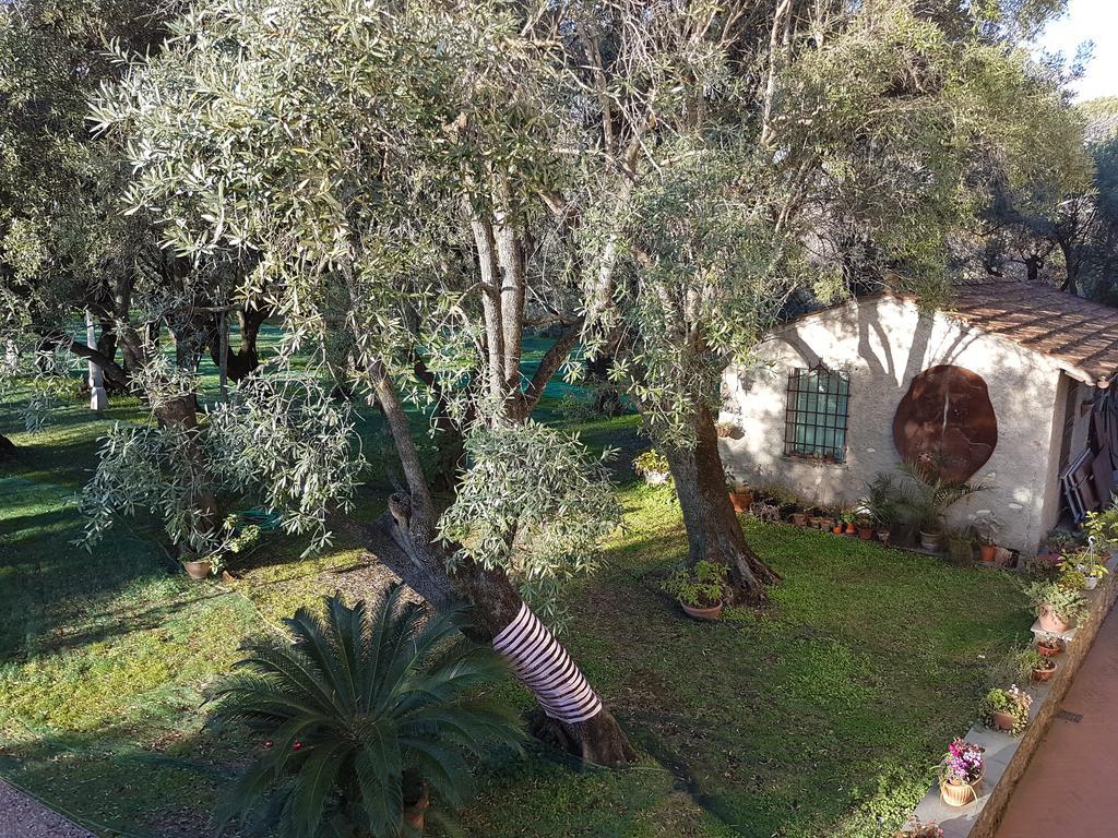 Maison d'hôtes Antico Uliveto à Seravezza Extérieur photo